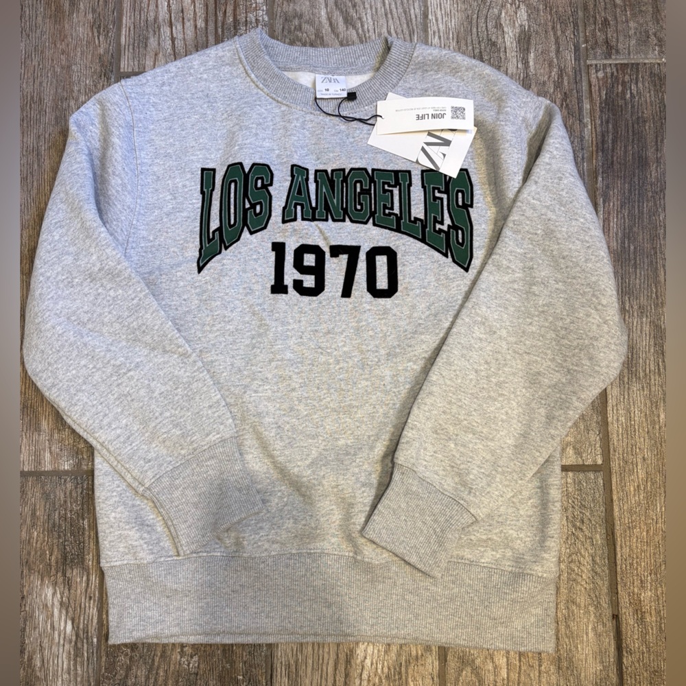 Zara Gray Cotton Hoodie Sweatshirt